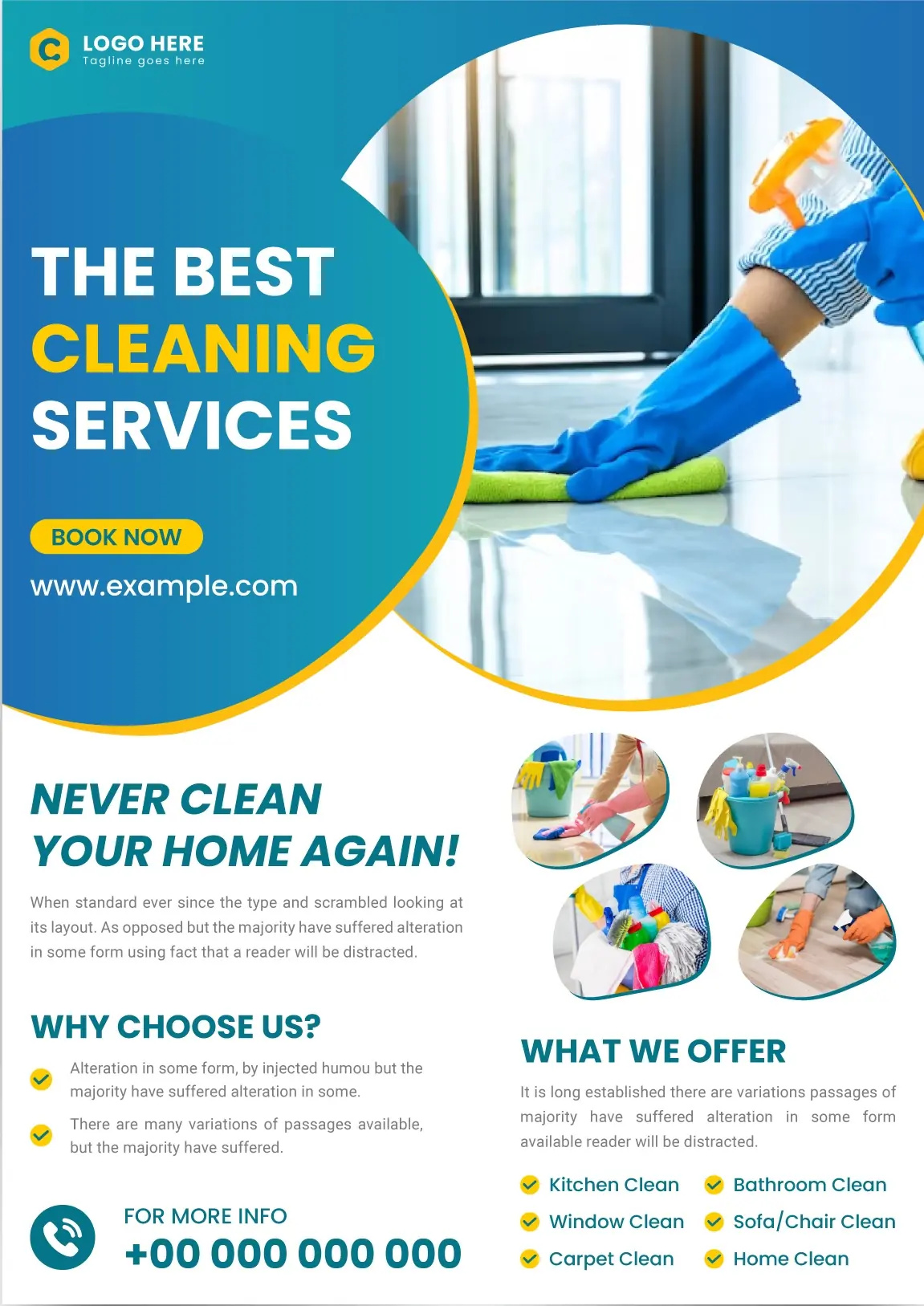 Cleaners Flyers 441